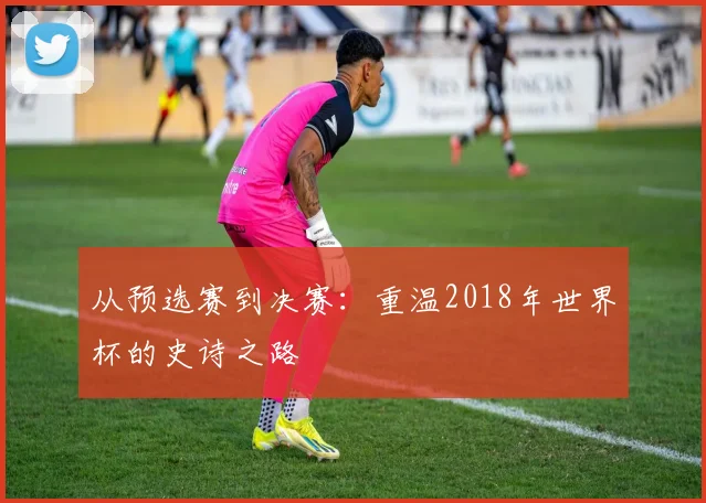 从预选赛到决赛：重温2018年世界杯的史诗之路