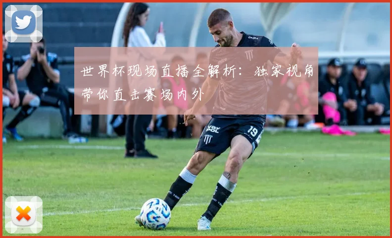 世界杯现场直播全解析:独家视角带你直击赛场内外