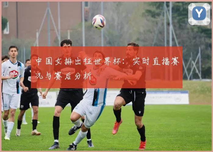 中国女排出征世界杯:实时直播赛况与赛后分析
