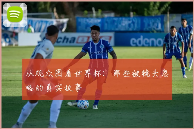 从观众图看世界杯：那些被镜头忽略的真实故事