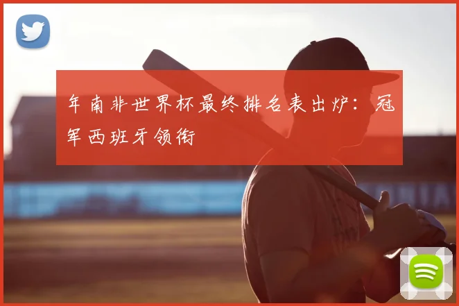 年南非世界杯最终排名表出炉:冠军西班牙领衔