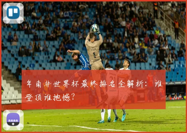 年南非世界杯最终排名全解析:谁登顶谁抱憾?