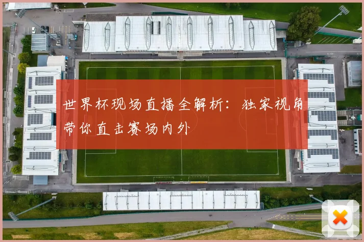 世界杯现场直播全解析:独家视角带你直击赛场内外