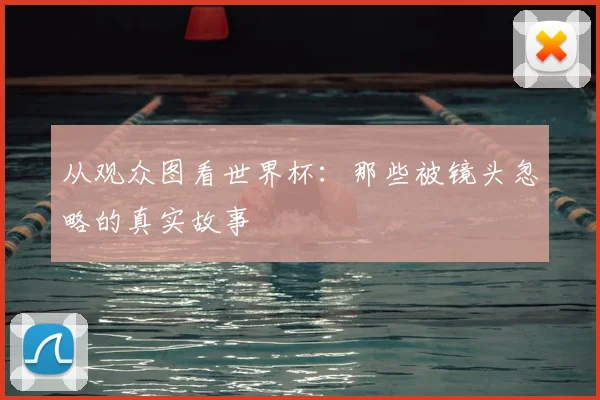 从观众图看世界杯:那些被镜头忽略的真实故事