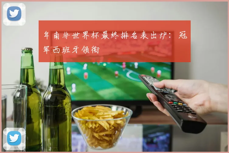 年南非世界杯最终排名表出炉:冠军西班牙领衔